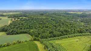 Property photo for land for sale in Vernon County Wisconsin