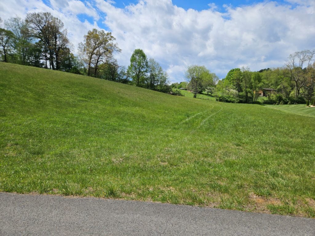 Property photo for land for sale in Washington County Virginia
