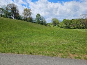 Property photo for land for sale in Washington County Virginia