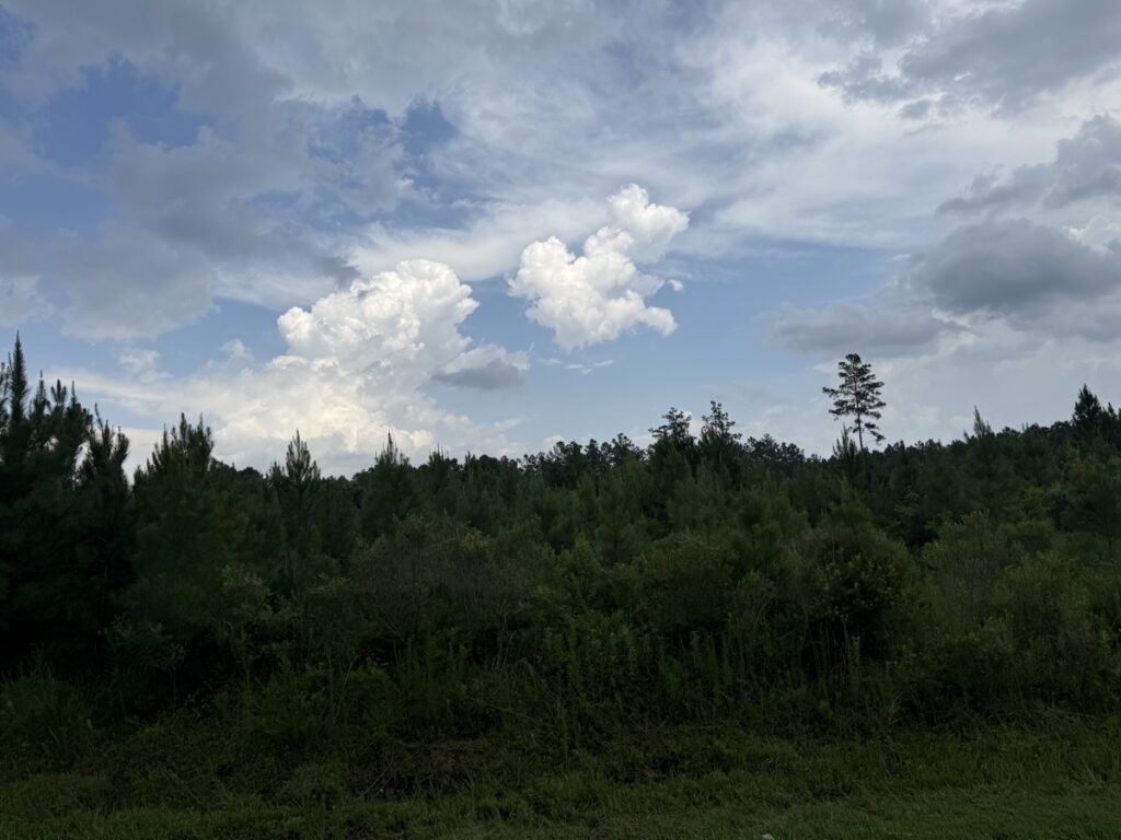 3f946624-d35c-44e6-9717-32541a13f7c7.jpg