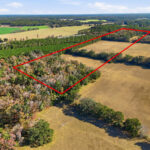 Property photo for land for sale in Alachua County Florida