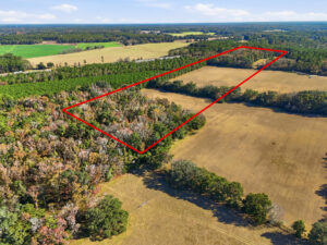 Property photo for land for sale in Alachua County Florida
