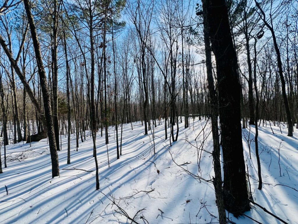 445610d9-4819-4102-98ae-d5e47943da8f.jpg