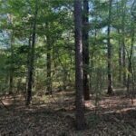 Property photo for land for sale in La Salle County Louisiana