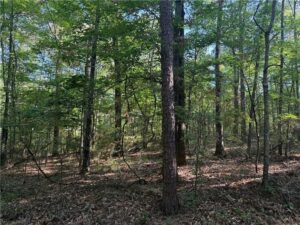 Property photo for land for sale in La Salle County Louisiana
