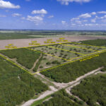 Property photo for land for sale in Jim Wells County Texas