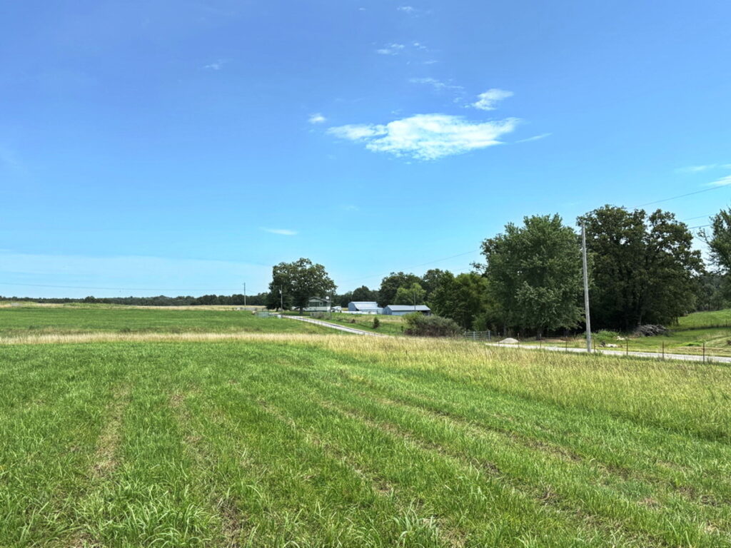 468ac675-16bd-4cda-ac8f-dc96ed8f766a.jpg