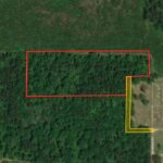 Property photo for land for sale in Allen County Louisiana