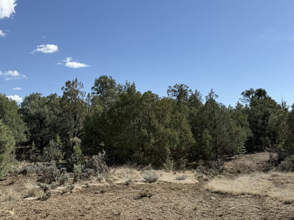 Property photo for land for sale in Rio Arriba County New Mexico