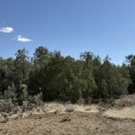 Property photo for land for sale in Rio Arriba County New Mexico
