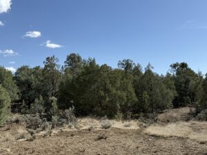 Property photo for land for sale in Rio Arriba County New Mexico
