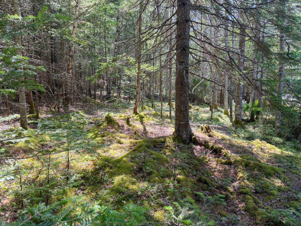 4927f0b3-c5bc-48e1-b19e-2f73422de9ac.jpg