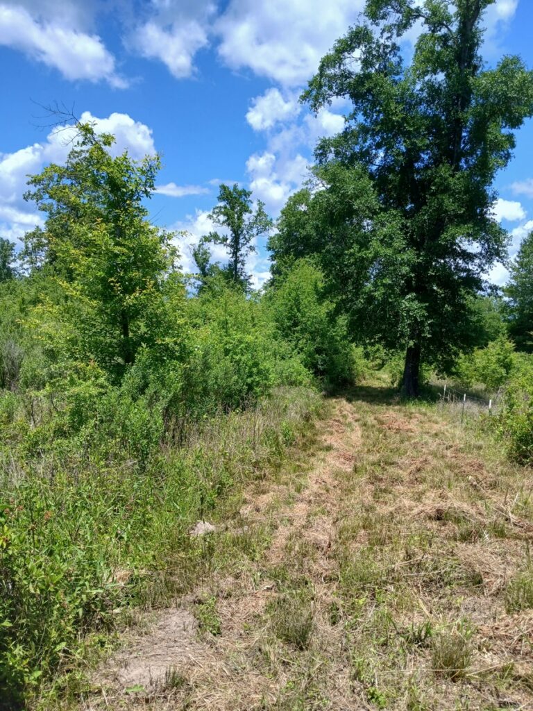 49c2ceda-d324-4625-b0ce-6070a779ab40.jpg