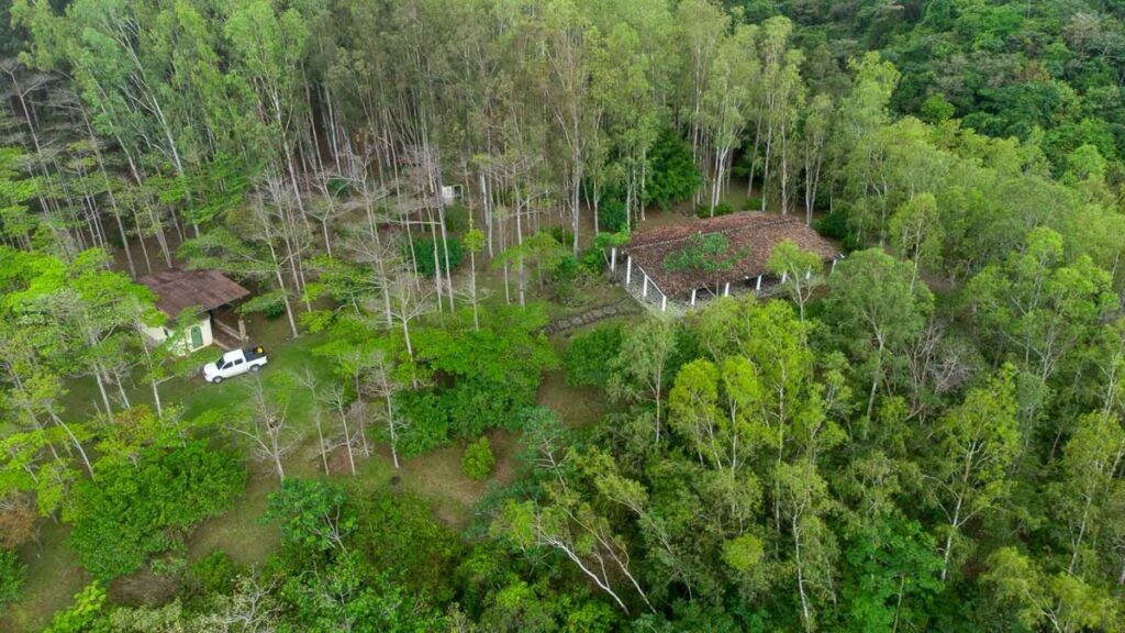 Property photo for land for sale in County Panama