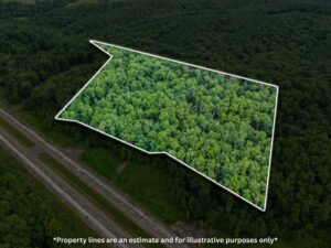 Property photo for land for sale in Wayne County Tennessee