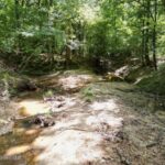 Property photo for land for sale in Catahoula County Louisiana