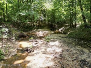 Property photo for land for sale in Catahoula County Louisiana