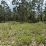 Property photo for land for sale in Marion County Florida