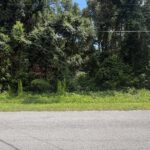 Property photo for land for sale in Levy County Florida