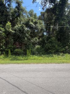 Property photo for land for sale in Levy County Florida