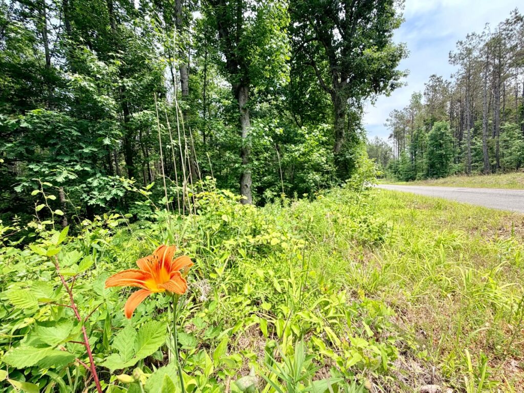 Property photo for land for sale in Prentiss County Mississippi