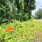 Property photo for land for sale in Prentiss County Mississippi