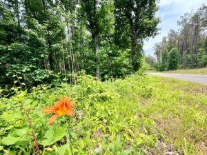 Property photo for land for sale in Prentiss County Mississippi