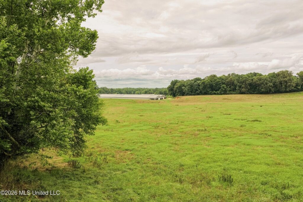 4e34ce09-10c7-45fa-83da-3792cd9bc239.jpg