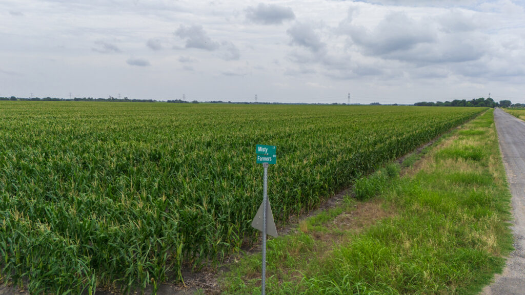 4e3502c8-eb18-4083-bf6a-c3716e7005f4.jpg