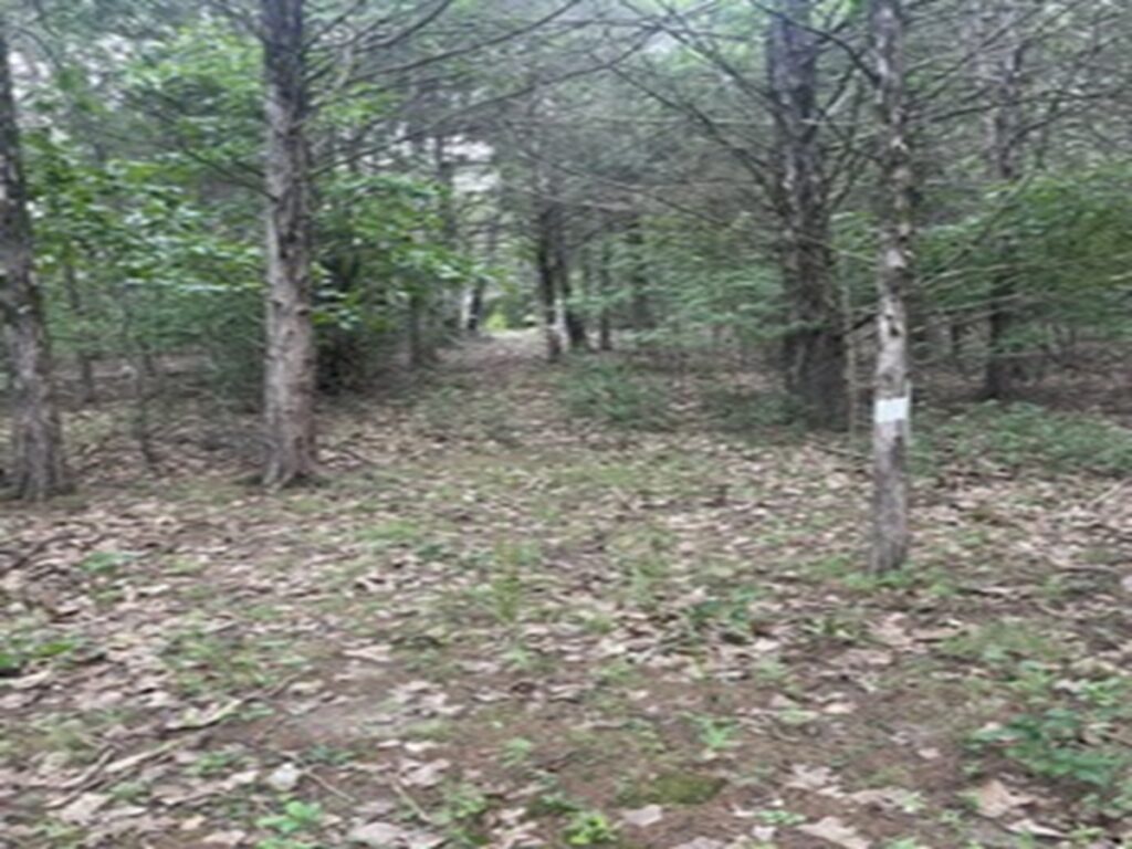 4f020883-0312-42a9-b84c-ad7a01156827.jpg
