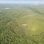 Property photo for land for sale in Hickman County Tennessee