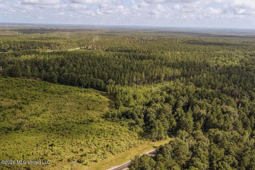 Property photo for land for sale in Forrest County Mississippi