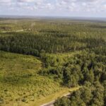 Property photo for land for sale in Forrest County Mississippi