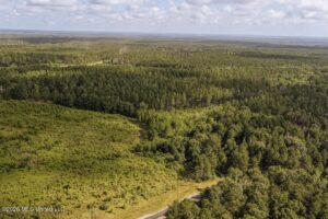 Property photo for land for sale in Forrest County Mississippi