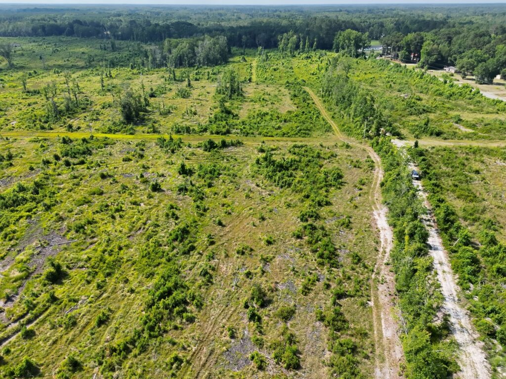 Property photo for land for sale in Bamberg County South Carolina