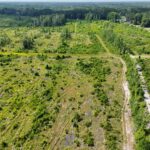 Property photo for land for sale in Bamberg County South Carolina