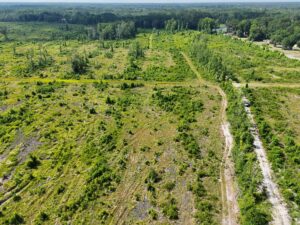 Property photo for land for sale in Bamberg County South Carolina