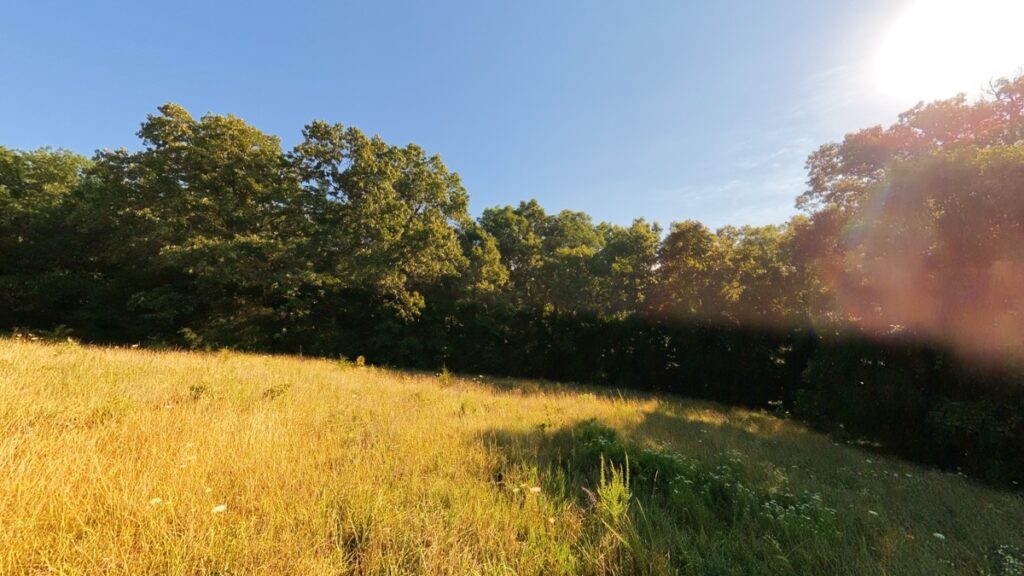 50a85ae6-64fe-4cf1-b6fe-7034a0fe0d0a.jpg