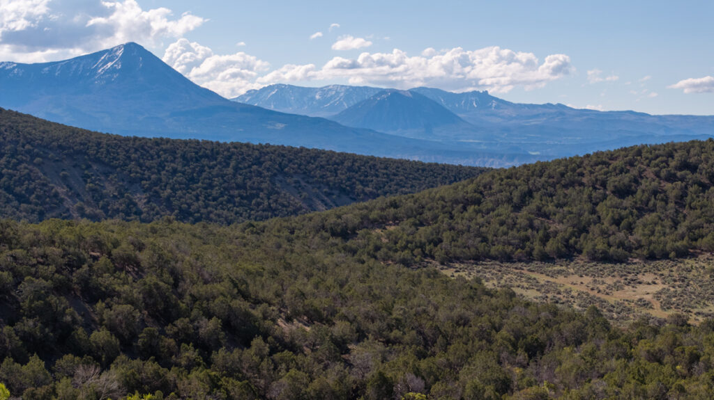 Property photo for land for sale in Delta County Colorado