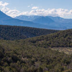 Property photo for land for sale in Delta County Colorado