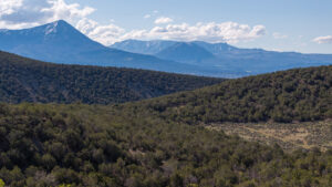 Property photo for land for sale in Delta County Colorado