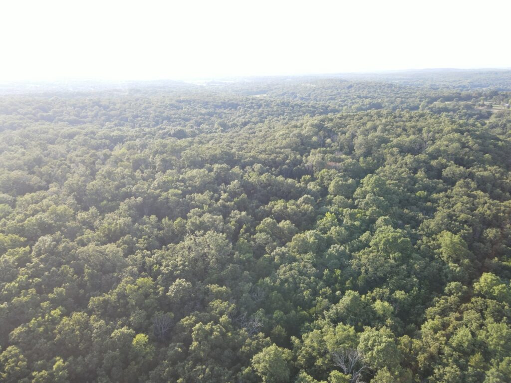 5252c629-946c-4083-bf7d-069ca850acfb.jpg