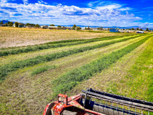 Property photo for land for sale in Lewis and Clark County Montana