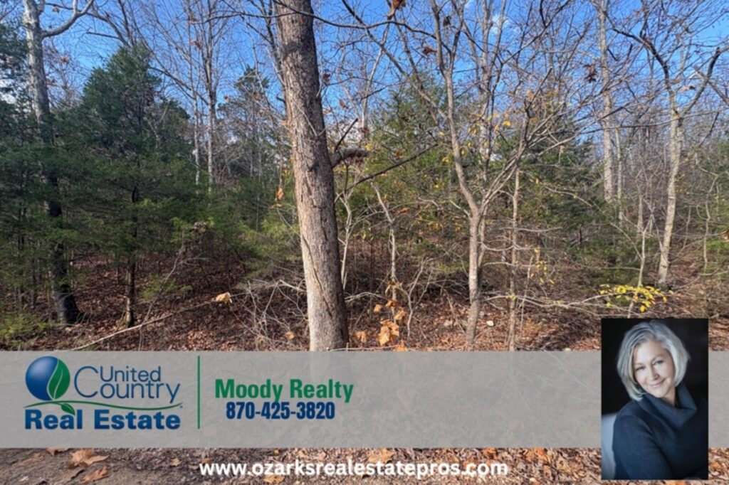 Property photo for land for sale in Baxter County Arkansas