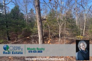 Property photo for land for sale in Baxter County Arkansas