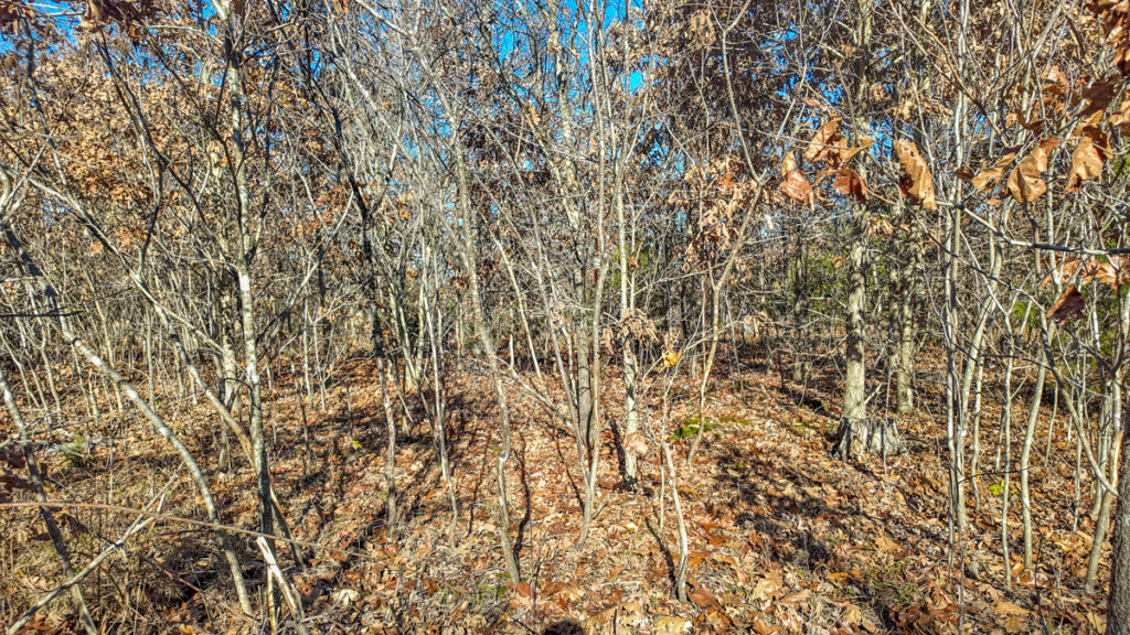 53603082-3245-454e-87e9-43cde2d29b1d.jpg