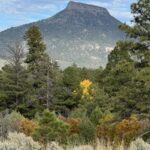 Property photo for land for sale in Rio Arriba County New Mexico