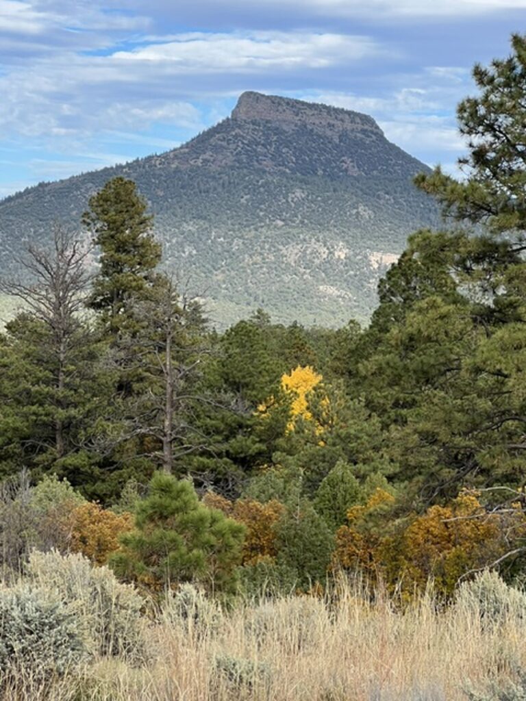 Property photo for land for sale in Rio Arriba County New Mexico
