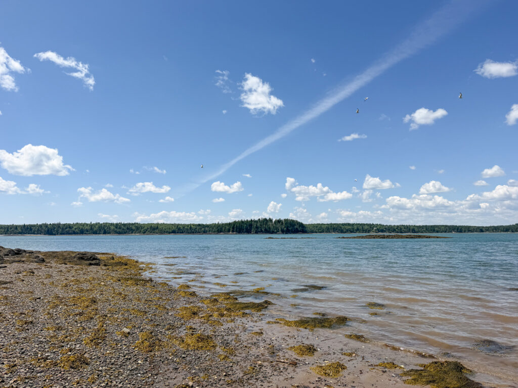 557089a7-eb75-461e-bf49-0f07e211d3b1.jpg