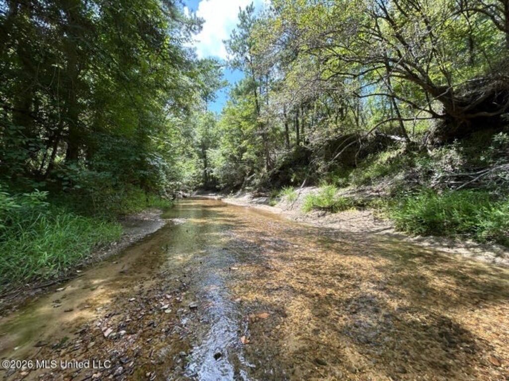 Property photo for land for sale in Franklin County Mississippi